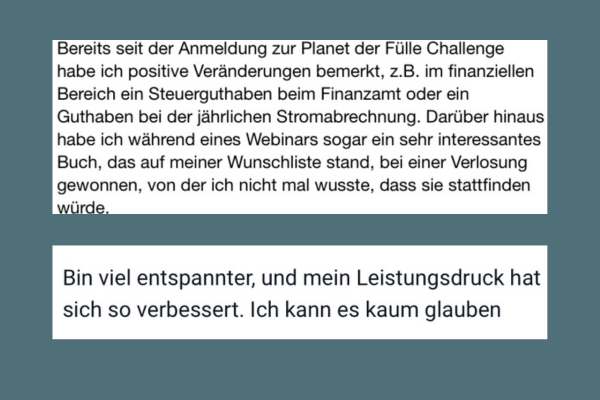 PDF Testi10